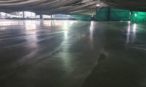Изображение WhatsApp 2025-05-29 в 15.04.18_79ea4f37
